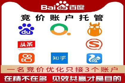 成功案例：SEM托管代运营助力业务增长